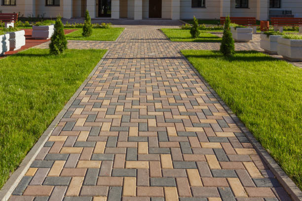 Best Driveway Paving Contractor  in Pearl Beach, MI